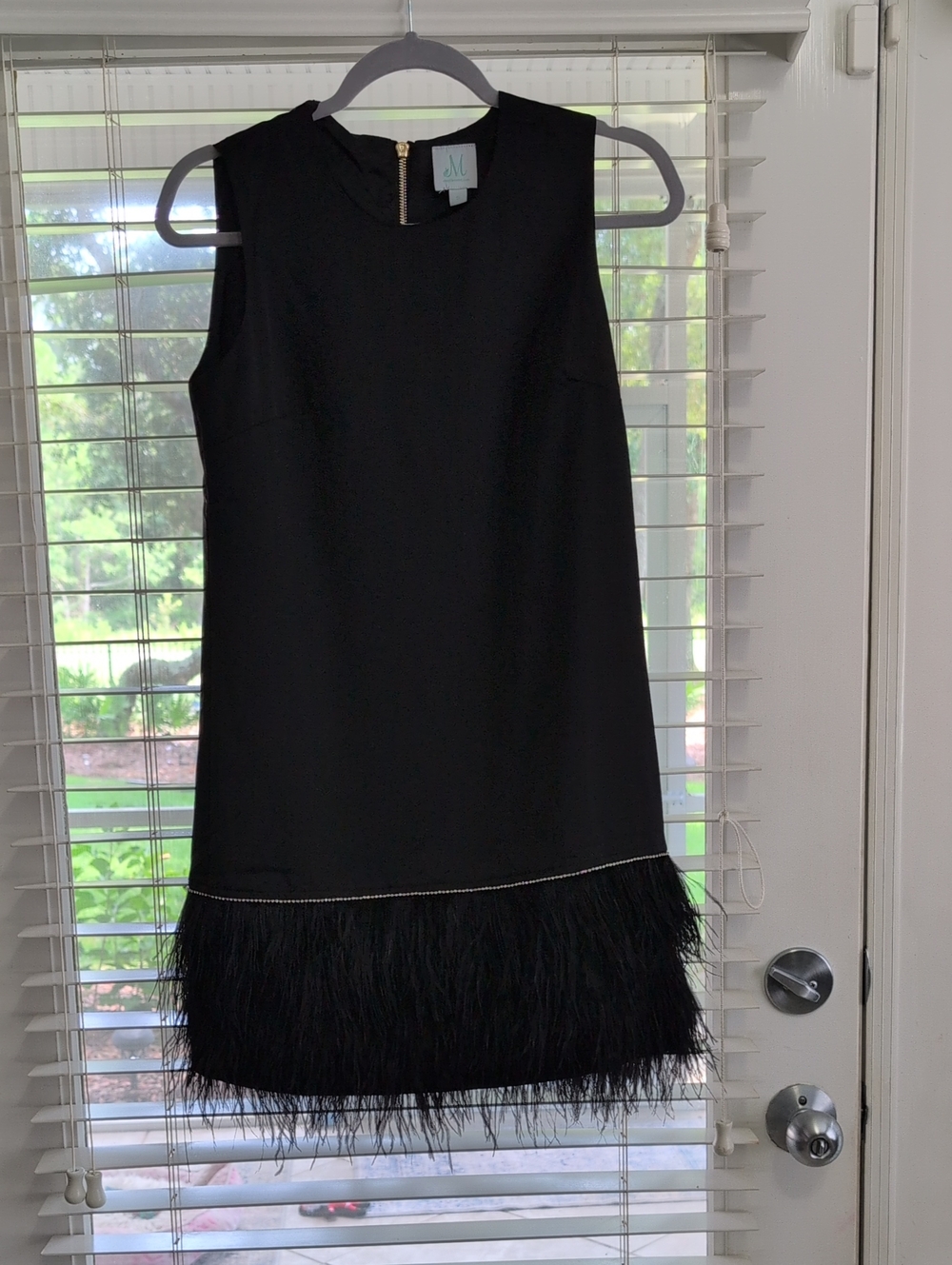 Sleeveless Black Feather-Hem Dress By Mint